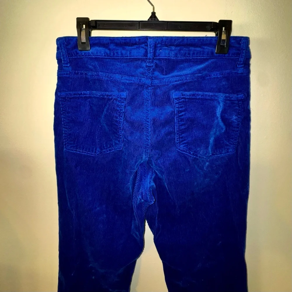 Pilcro Royal Blue Corduroy Straight Leg Jeans - Picture 7 of 10